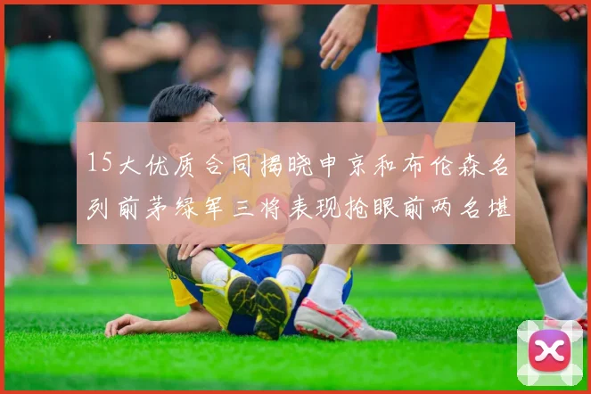 15大优质合同揭晓申京和布伦森名列前茅绿军三将表现抢眼前两名堪称传奇