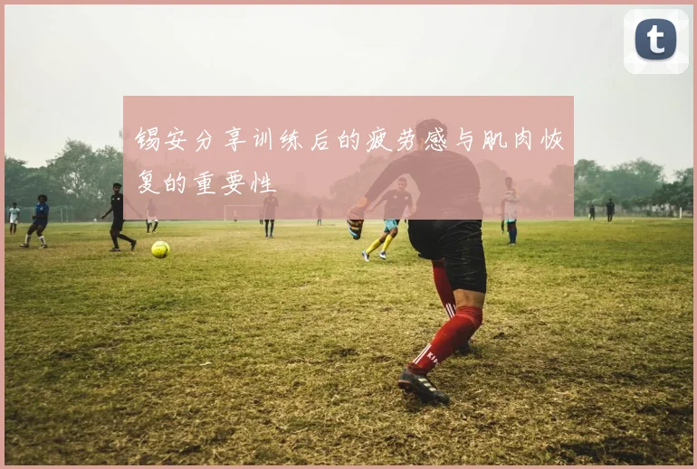 锡安分享训练后的疲劳感与肌肉恢复的重要性